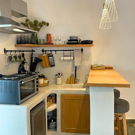 Dryopis Διαμέρισμα Κύθνος