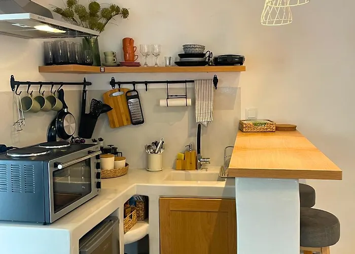 Dryopis 公寓 基斯诺斯