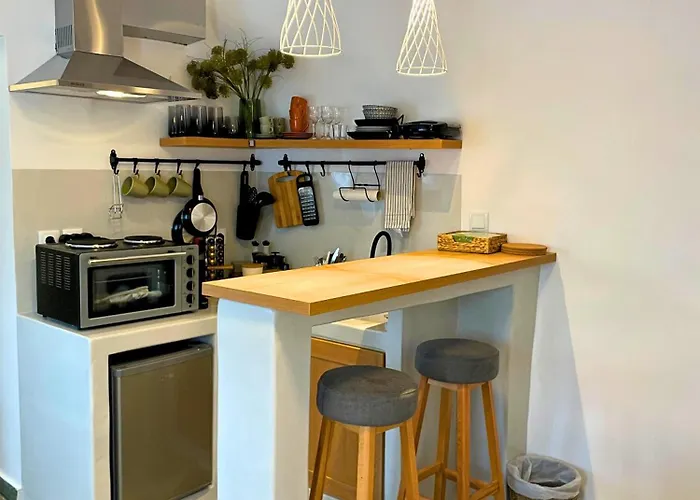 公寓 Dryopis 基斯诺斯