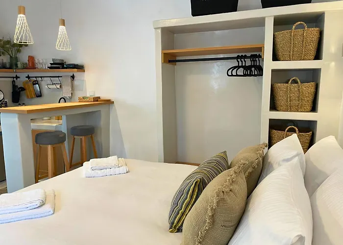 公寓 Dryopis 基斯诺斯